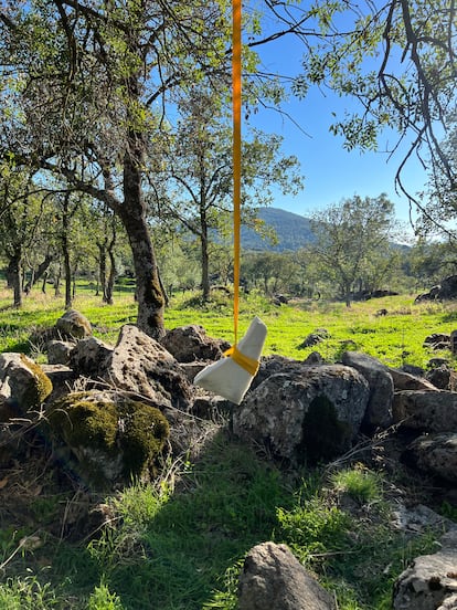 La instalación de Lecuona y Hernández.