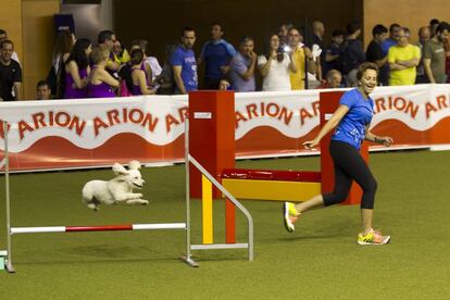 Exhibición canina durante la pasada edición de 100x100 Mascotas.