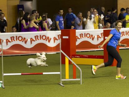 Exhibición canina durante la pasada edición de 100x100 Mascotas.