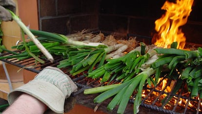 El calçot és el protagonista d'una de les festes gastronòmiques catalanes més populars. 