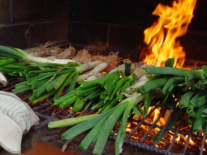 El calçot és el protagonista d'una de les festes gastronòmiques catalanes més populars. 