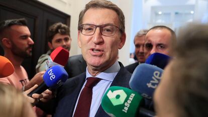 El presidente del PP, Alberto Nuñez Feijóo, este viernes en Madrid.