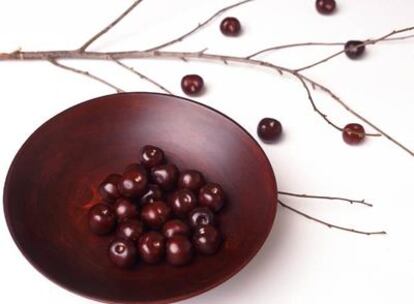 Plato de picotas de la denominación de origen protegida<b> Cereza del Jerte.</b>
