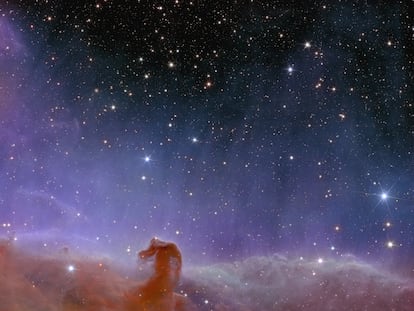 Imagen de la nebulosa cabeza de caballo.