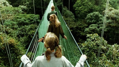 Bosque Nuboso de Monteverde, una reserva biológica de Costa Rica. 