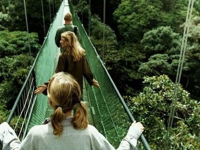 Bosque Nuboso de Monteverde, una reserva biológica de Costa Rica. 