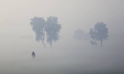 Un hombre indio camina entre la niebla cerca de Hisar (India).