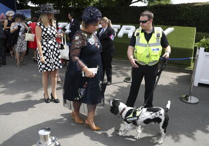 Este año Epsom ha contado con grandes medidas de seguridad.