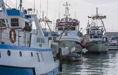 Barcos de pesca amarrados en el puerto de Barbate (Cádiz).