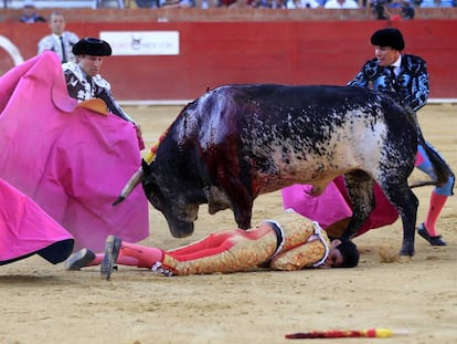 O toureiro Victor Barrio, ap&oacute;s ser atingido por uma chifrada.