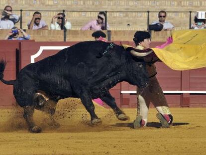 El diestro Esa&uacute; Fern&aacute;ndez recibe a portagayola a su primero de la tarde, en la Maestranza de Sevilla.
 