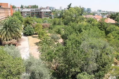 La zona verde aledaña al convento de las Damas Apostólicas. 