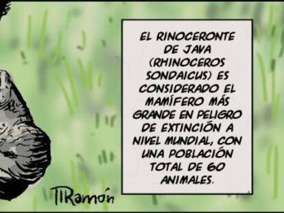 Ramón
