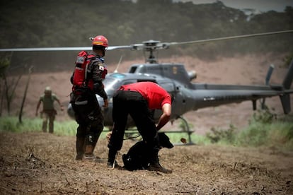 Bombeiros resgatam um cachorro após a catástrofe causada pelo rompimento da barragem da Mina Feijão, da Vale, em Brumadinho. Impacto ambiental ainda é incalculável. Desastre deixou ao menos 60 pessoas mortas, além de 292 desaparecidos. Lama chegou ao rio Paraopeba.