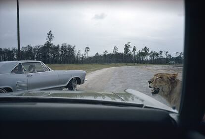 'Florida, 1970' de Joel Meyerowitz.