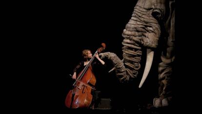 Escena de 'El carnaval de los animales'.