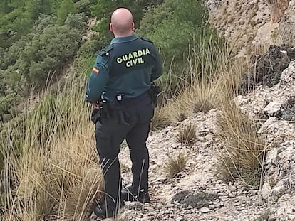 Agentes de la Guardia Civil durante las tareas de localización de la avioneta desaparecida. / MINISTERIO DEL INTERIOR