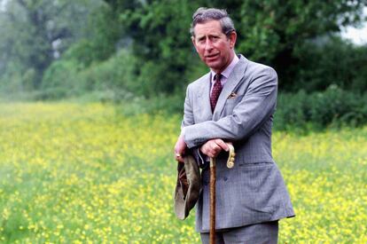 El todavía Príncipe de Gales, durante una visita a la granja Clattinger, en Malmesbury, en 1999.