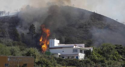 Las llamas del incendio en la cumbre de Gran Canaria acechan una vivienda. 