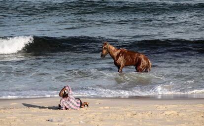 Un palestino descansa en la playa mientras su caballo se baña en el mar, en Jan Yunis (Franja de Gaza).
