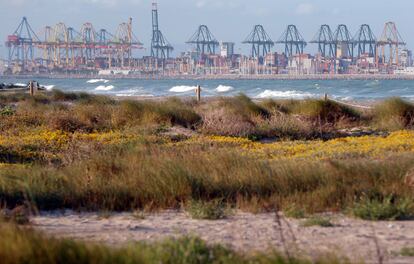 El puerto de Valencia desde la playa de El Saler.