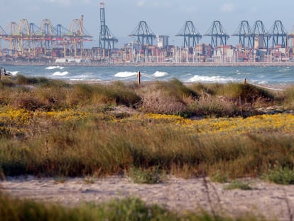 Vista general del Puerto de Valencia desde la playa de El Saler, al sur del puerto.