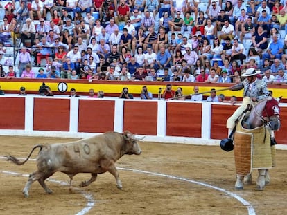 Un novillo de Prieto de la Cal, lidiado en Calasparra en 2018.