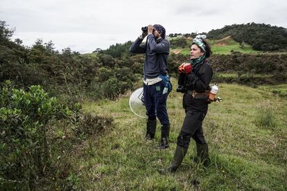 Sebastan Prez y Yenifer Herrera en una de las localidades de monitoreo del 'Monta?erito Paisa' (Atlapetes blancae). Ellos participan en la 'Buscatn del Monta?erito Paisa', un ejercicio de ciencia participativa que monitorea anualmente la presencia de la especie en el territorio.