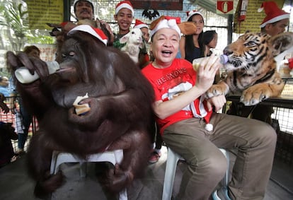 El propietario del zoo Malabon de Manila (Filipinas) junto a varios animales, Manny Tangco, durante su fiesta anual de 'Navidad Animal'. 