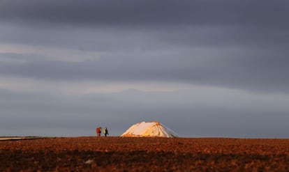 Una mujer camina a caballo delante de un montón de remolacha azucarera surtidas antes del atardecer cerca de Seligenstadt, el sur de Alemania.