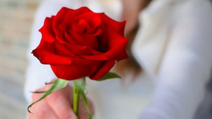 Artículo de EL PAÍS Escaparate sobre una rosa eterna, el regalo perfecto para acertar en el Día de la Madre.