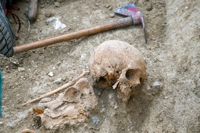 Cráneo hallado en la fosa número 702 del viejo cementerio de San Eufrasio de Jaén, la semana pasada.