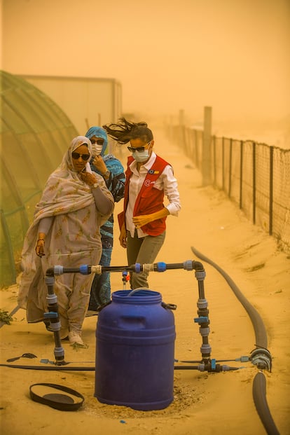 La Reina visita un proyecto durante su viaje a Mauritania.