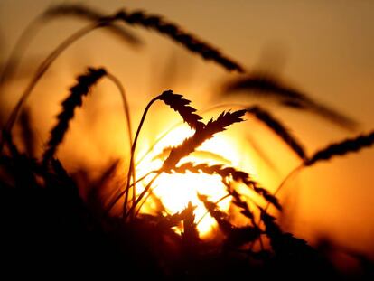 Puesta de sol en Siberia.