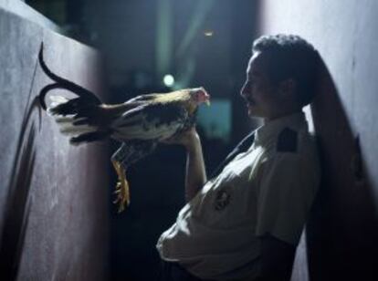 Fotograma de 'Por las plumas', la producción de Costa Rica que competirá en Nuevos Directores.