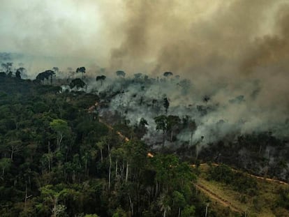 Incêndio em Alta Floresta no Estado do Pará, em 23 de agosto.