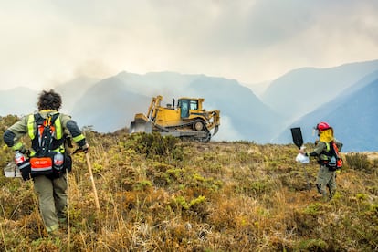 Labores para evitar la propagación del fuego.