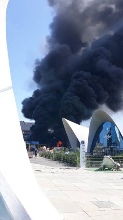 Fotografía hecha por uno de los visitantes que se encontraba en el interior del Oceanogràfic.