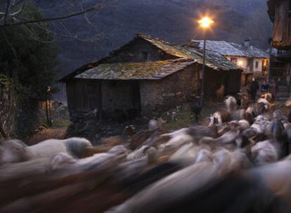 Pastores con su rebaño en los Montes de Valdueza, en el valle del Silencio (León)