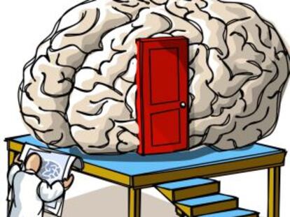 Un cosmos en la cabeza