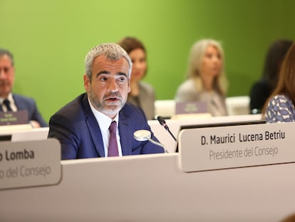 El presidente de Aena, Maurici Lucena, durante la junta de accionistas del gestor aeroportuario celebrada este mediodía en Madrid.
