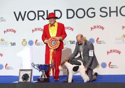 que perro ha ganado mas mejor en exposiciones