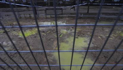 Manchas verdes, originadas en un vertido de anticongelante, en el parque de Berlín el sábado 25 de enero, dos semanas después de que fueran identificadas por los vecinos.