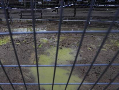 Manchas verdes, originadas en un vertido de anticongelante, en el parque de Berlín el sábado 25 de enero, dos semanas después de que fueran identificadas por los vecinos.
