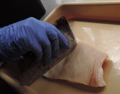 Un científico trata de cortar piel de cerdo, sin éxito, con un cuchillo realizado con heces humanas congeladas.
