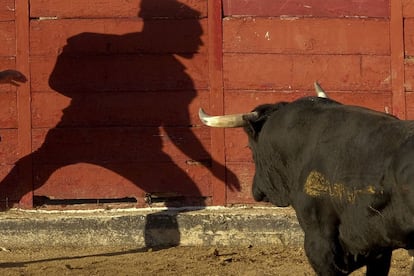 La sombra de un participante de los encierros de San Sebastián de Los Reyes (Madrid) se proyecta contra los tablones de la plaza de toros, el 27 de agosto de 2014.