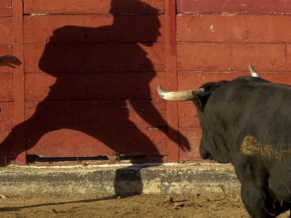 La sombra de un participante de los encierros de San Sebastián de Los Reyes (Madrid) se proyecta contra los tablones de la plaza de toros, el 27 de agosto de 2014.