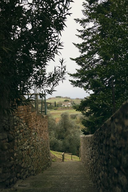 El camino que Leonardo pudo recorrer de niño entre la casa de su abuelo y la de su madre, en Campo Zeppi.