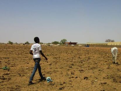 Un joven recupera una vaca perdida en la &aacute;rida regi&oacute;n senegalesa de Namarel.