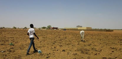 Un joven recupera una vaca perdida en la &aacute;rida regi&oacute;n senegalesa de Namarel.